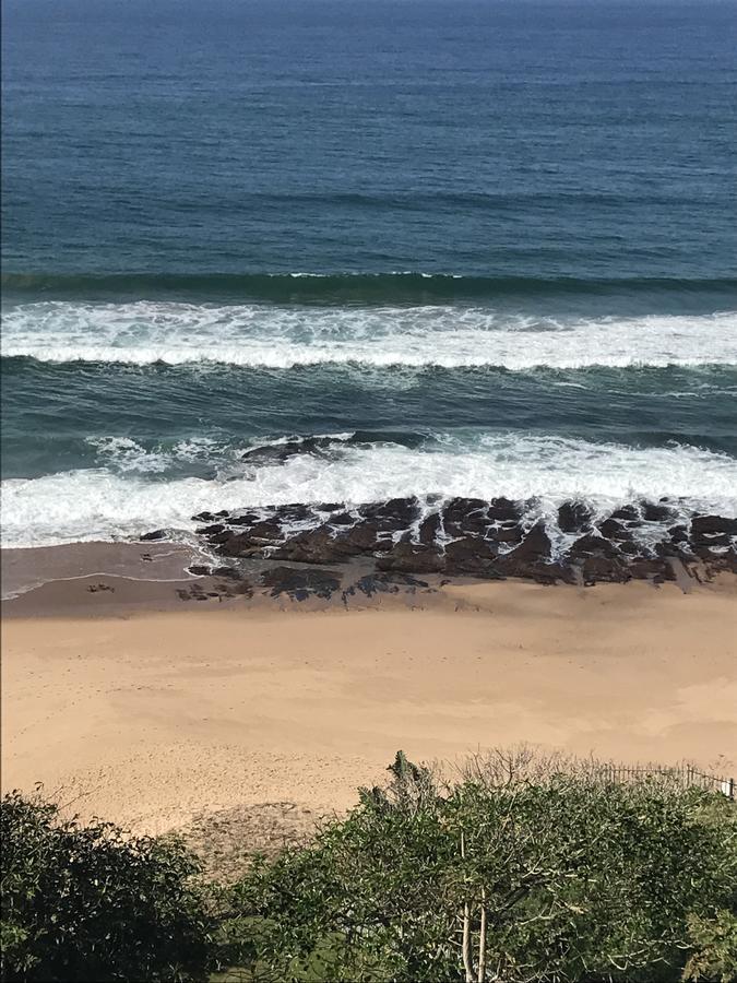 Beach Forest Lodge 巴利托 外观 照片