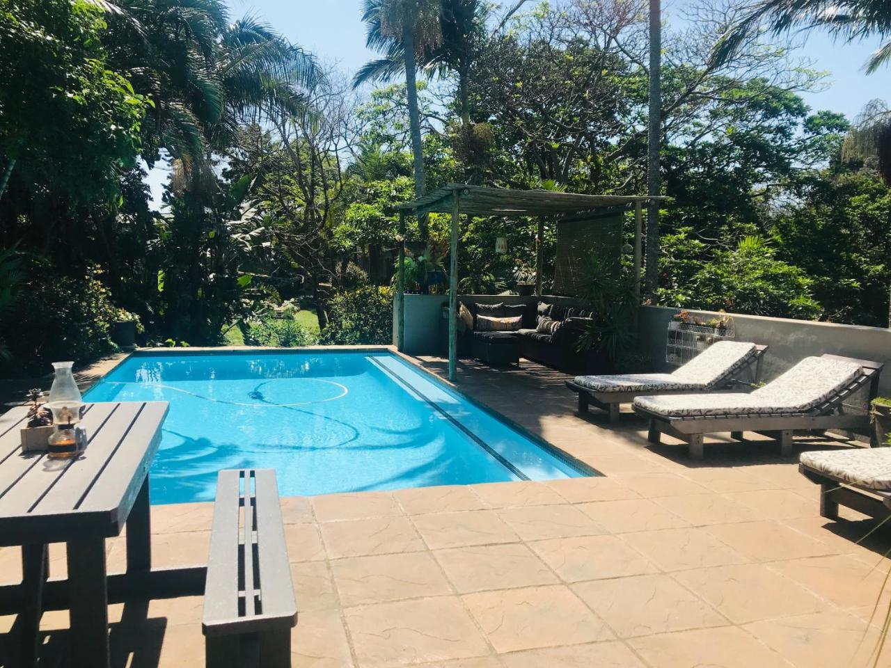 Beach Forest Lodge 巴利托 外观 照片