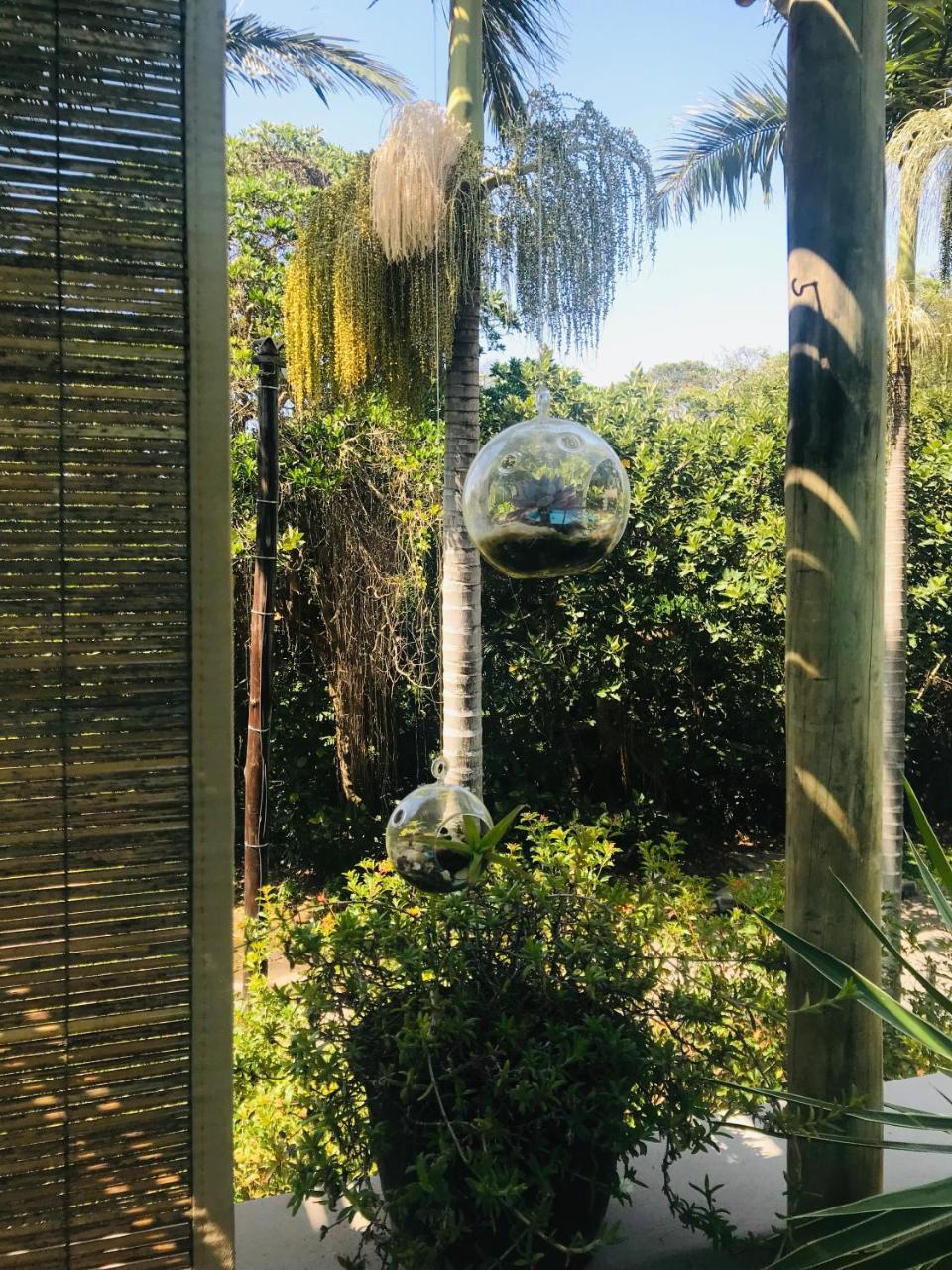 Beach Forest Lodge 巴利托 外观 照片