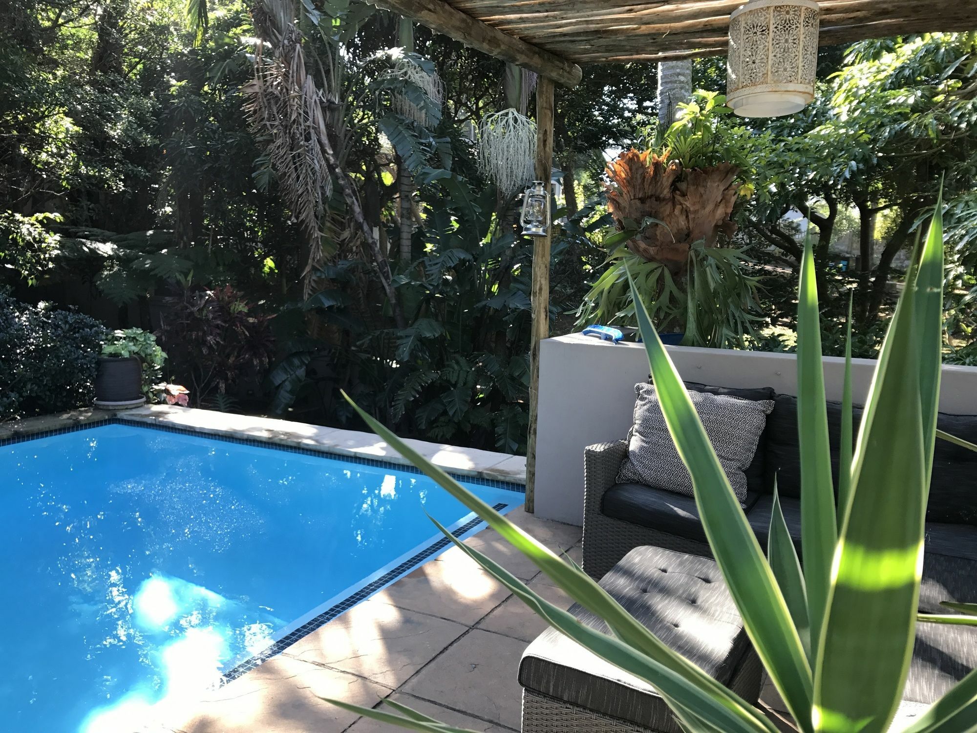 Beach Forest Lodge 巴利托 外观 照片